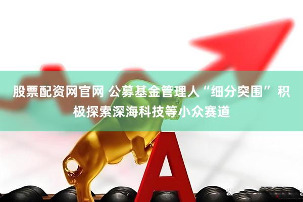 股票配资网官网 公募基金管理人“细分突围” 积极探索深海科技等小众赛道
